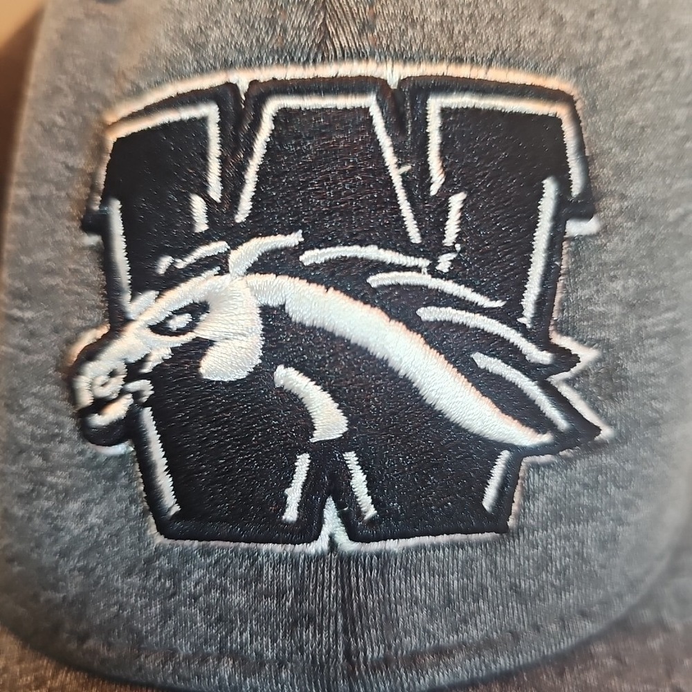 Broncos Western Michigan Baseball Logo Adult Hat Cap Adjustable Embroidered - Picture 6 of 7